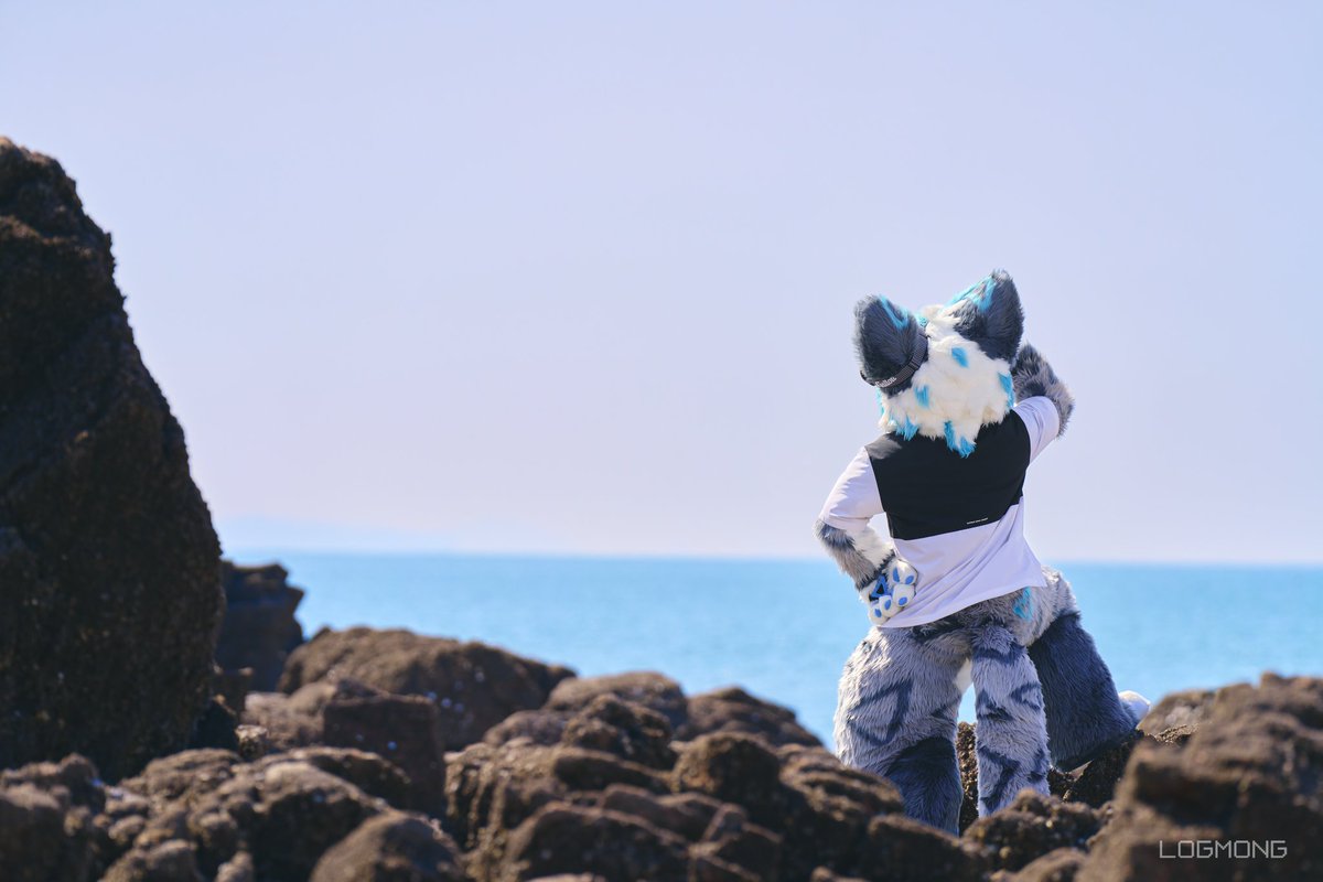 ChadShu_Kim's tweet image. 바다 건너는 어떤 모험이 펼쳐질까 궁금해 

📸 @Logmong_ 

#FursuitFriday #MIR