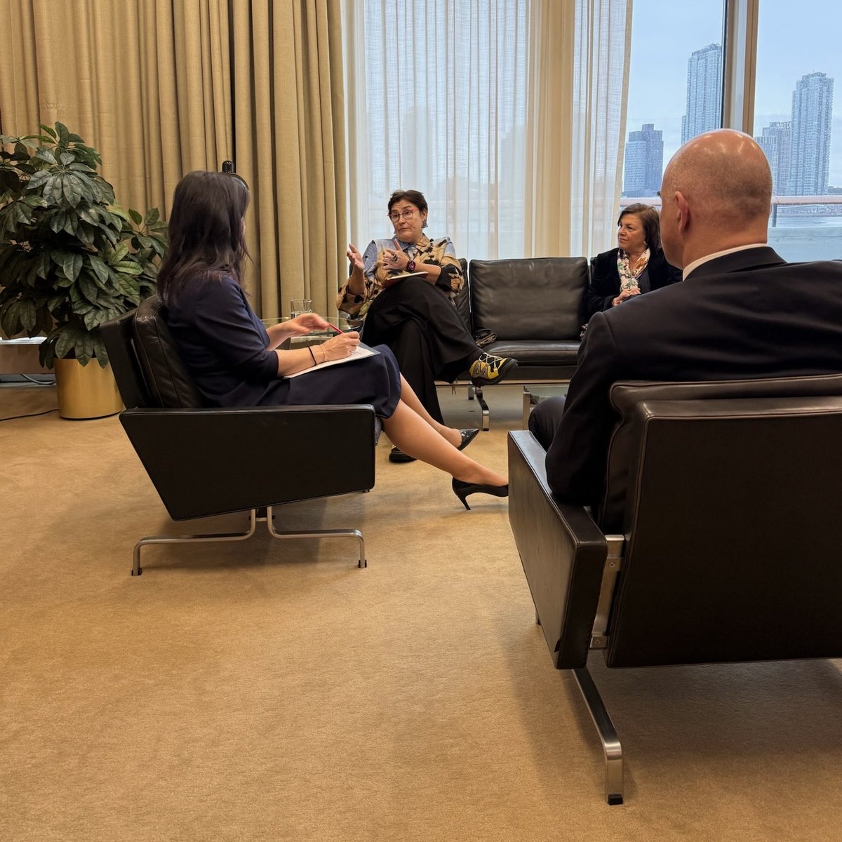 Petra Bayr tweet media