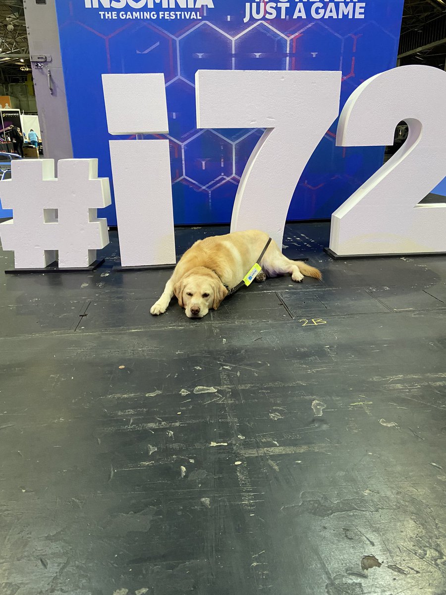 IGFest Puppy Appeal tweet media