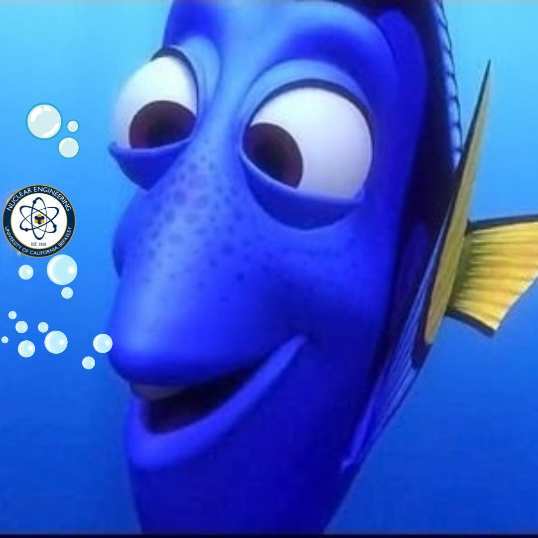 UCB Nuclear Engineering tweet media