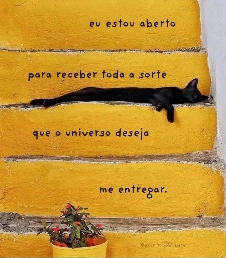 soudesabafosofc's tweet photo. https://t.co/D66nhD3OZD