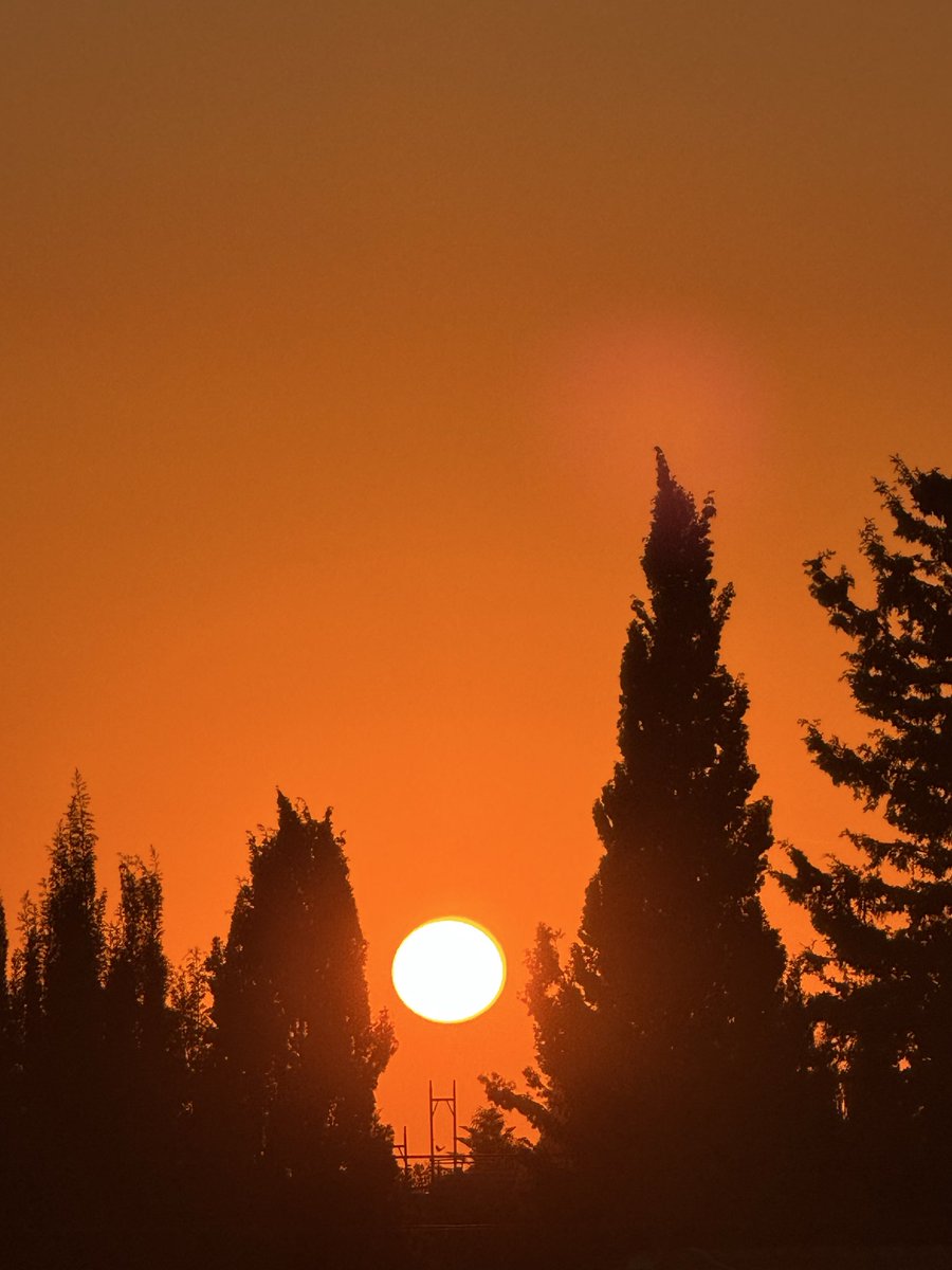 ProACT Sam | Expat Expert tweet media