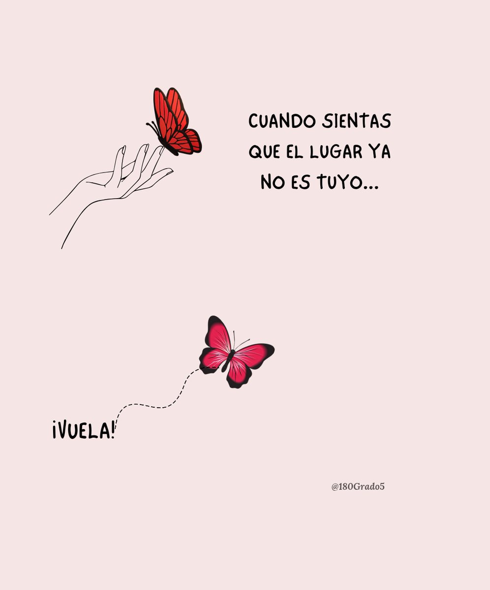 180Grado5's tweet photo. 🦋 https://t.co/A3N0DElw3Q