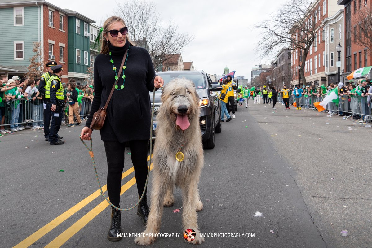 St. Patrick's Day Parade tweet media