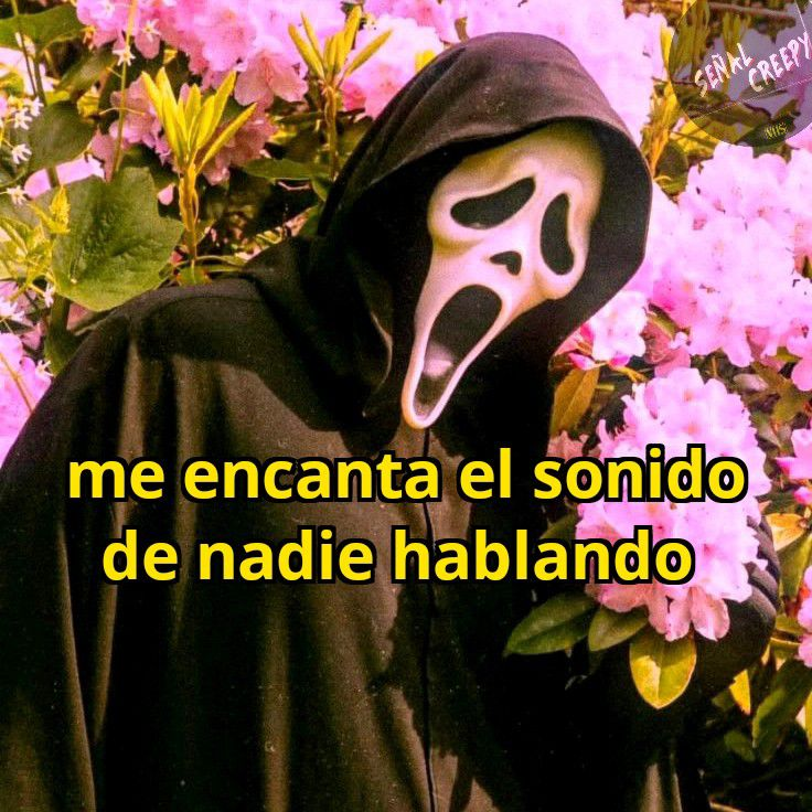 MexicoMagico's tweet photo. https://t.co/lPsgmB84et