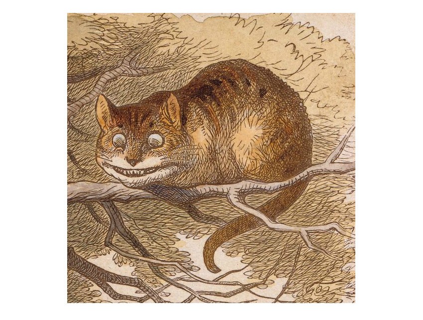 Quote Investigator® tweet media