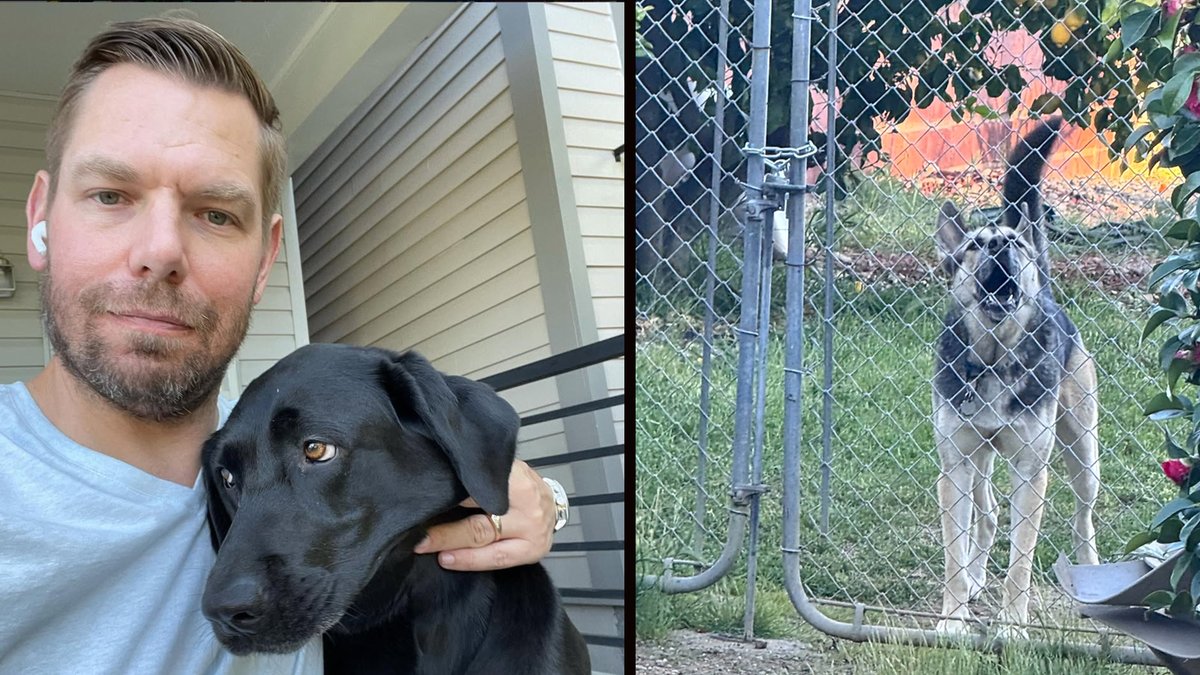 Hey Eric Swalwell, that's you with your black lab at your principal residence in D.C. On the right is Kristina Mrzywka's German Shepard at her 1,350 sq ft home in Livermore, CA where she lives with her husband and child. You do NOT live there! Stop trying to trick CA voters!