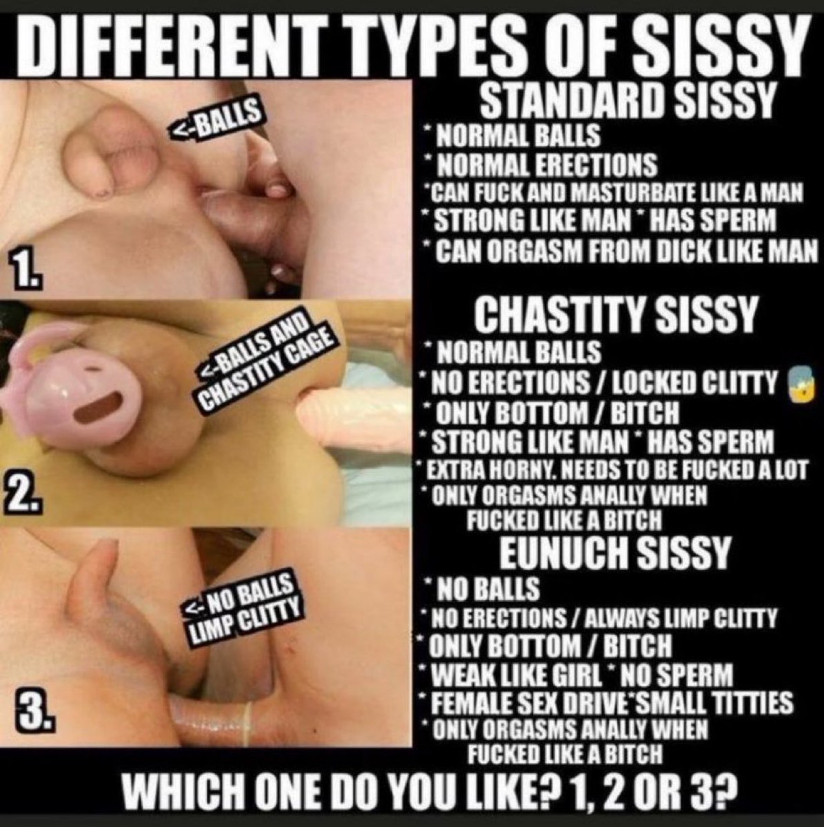 Doubt and curious about your type of sissy?
There’s 3 types of Sissy
1. Standard Sissy
2. Chastity Sissy
3.Eunuch Sissy
Apply for my Sissy Test to discover your fetish, potential, stage of sissification and types of sissy