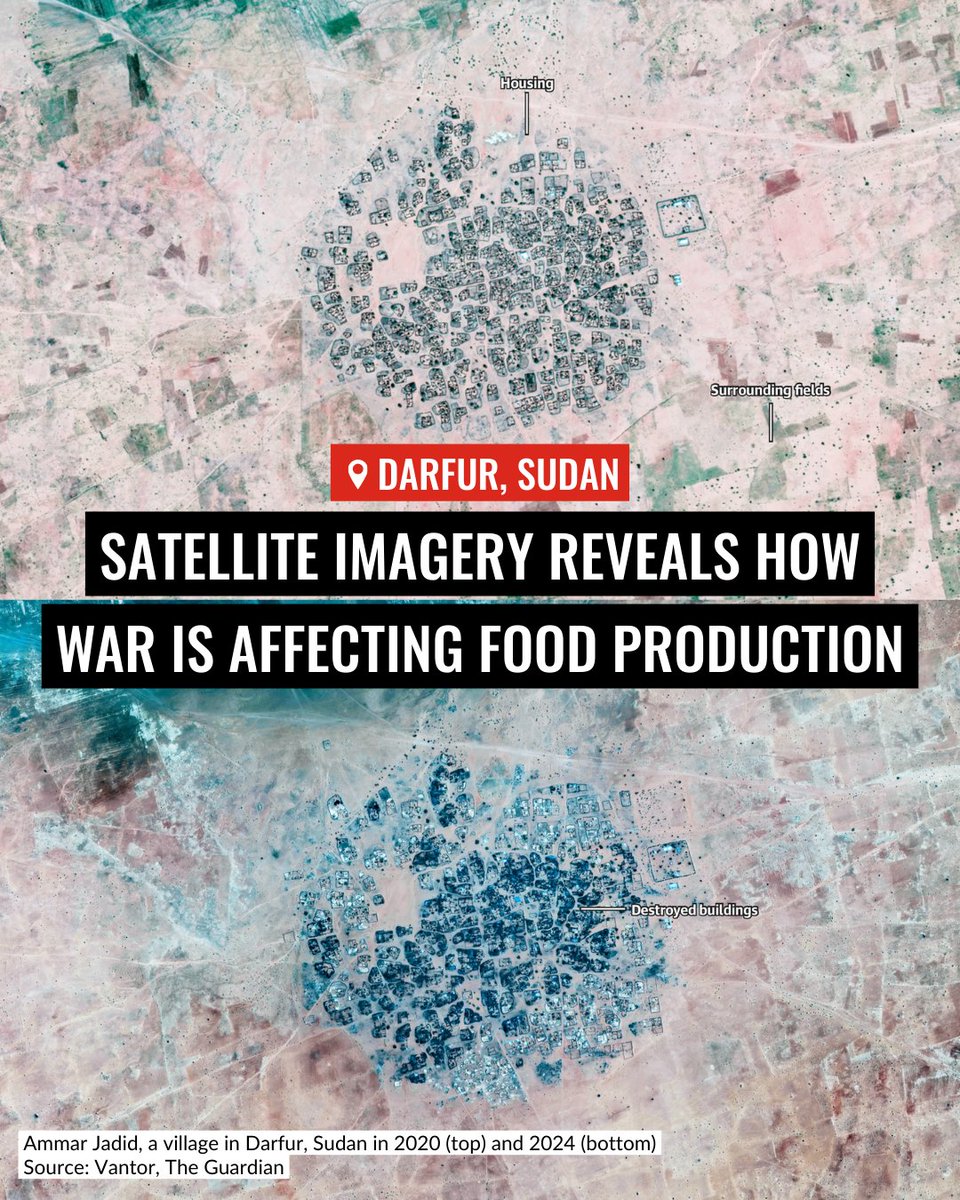 Save the Children UK tweet media