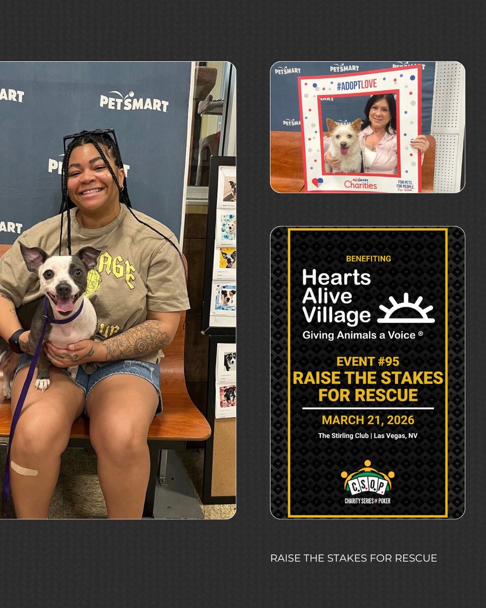 CharitySeriesOfPoker tweet media