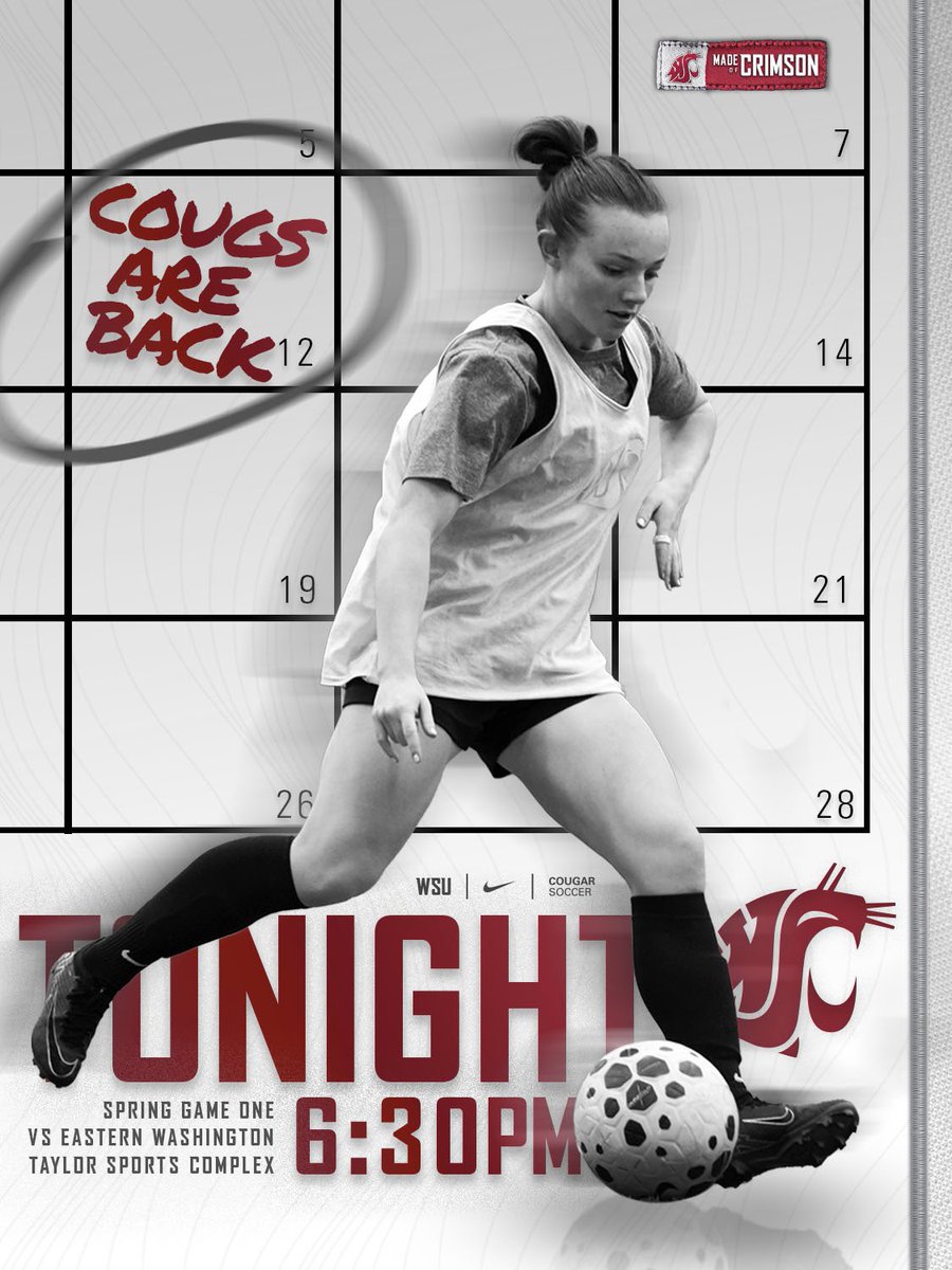 Washington State Soccer tweet media