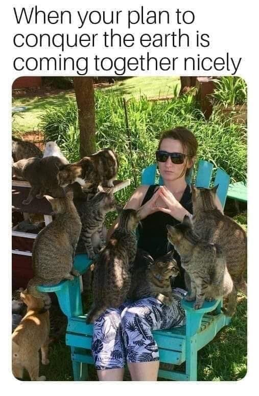 WholesomeMemes tweet media