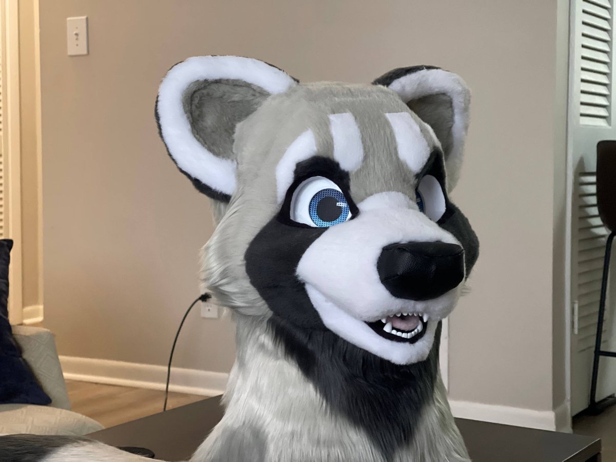 RobertRaccoon 🔜 FWA tweet media