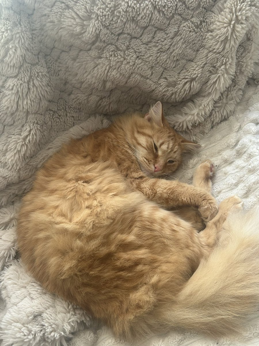 Jenning$ tweet media