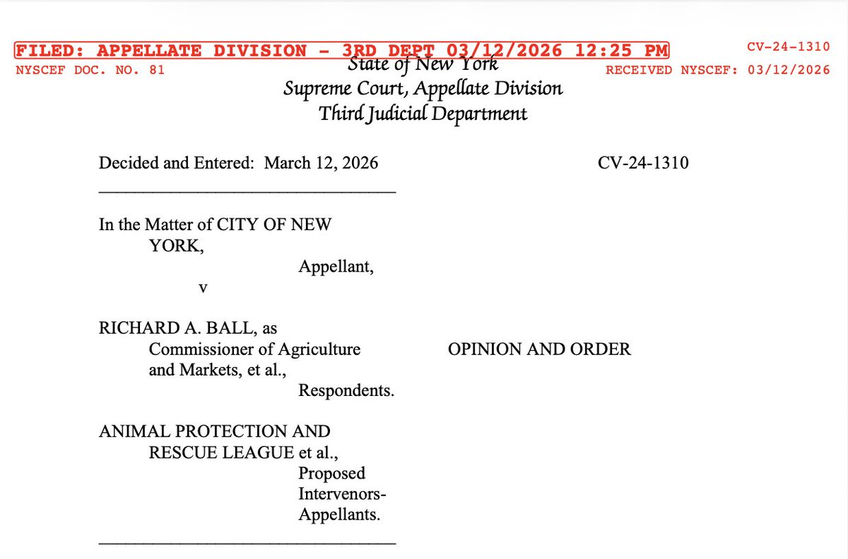 Jeff Coltin tweet media