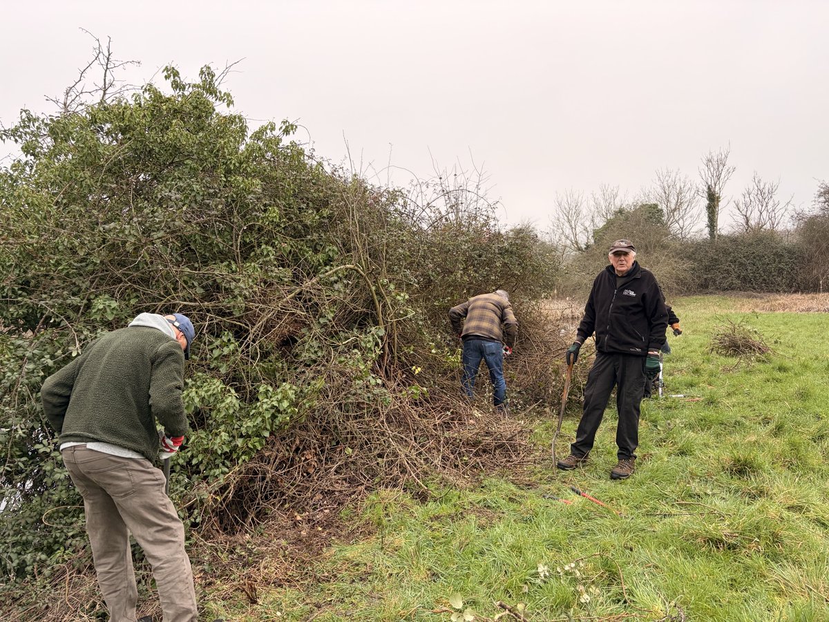 Volunteers Officer tweet media