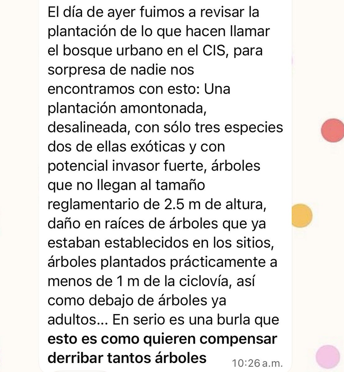 Gobernador <a href="/armentapuebla_/">Alejandro Armenta</a> y Secretaria <a href="/mayraorellanac/">mayraorellana</a>: lo que se presenta como “compensación ambiental” en el CIS está generando serias dudas técnicas.
Puebla necesita transparencia y diálogo público sobre el proyecto #Cablebús y sus impactos ambientales.
