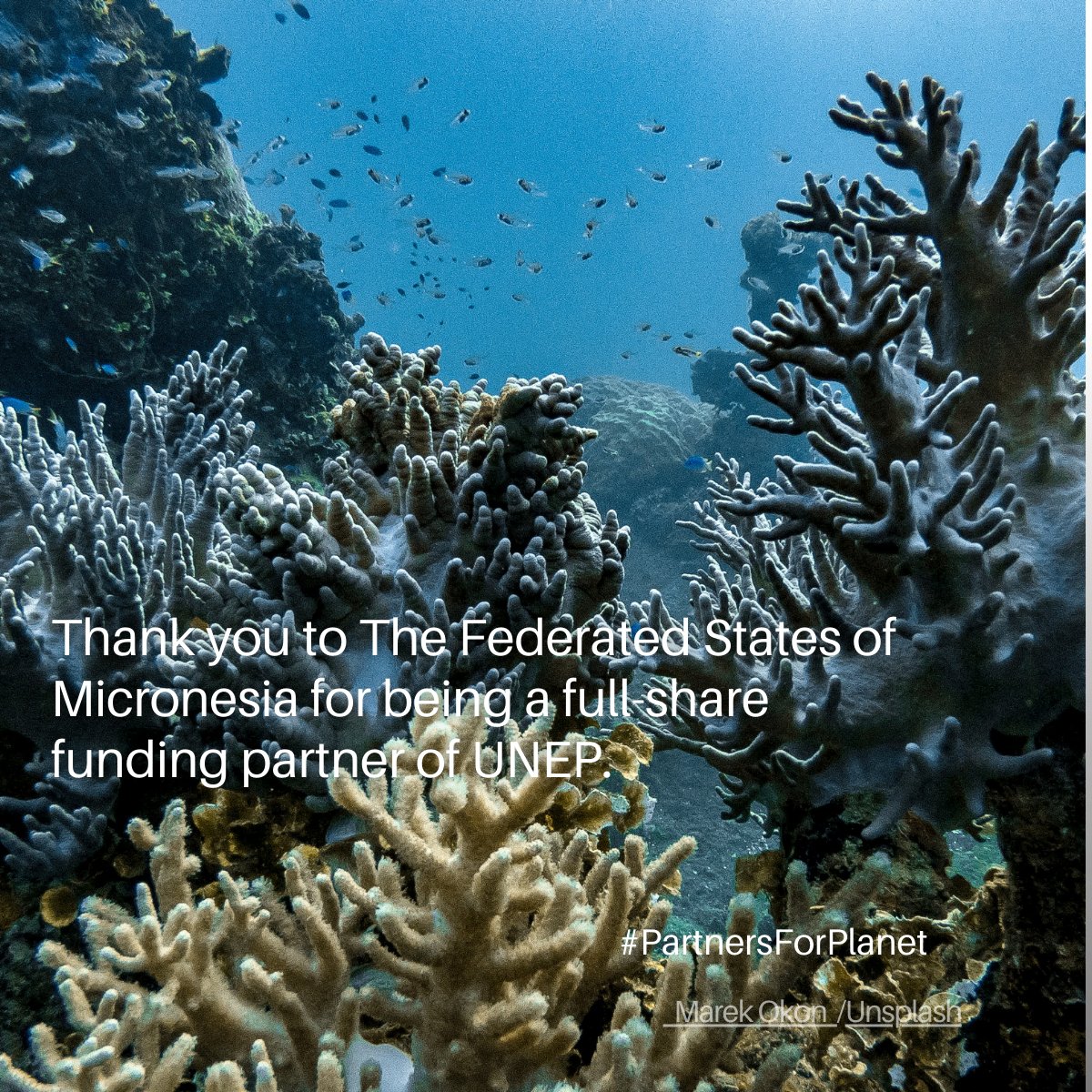 UN Environment Programme Asia Pacific tweet media