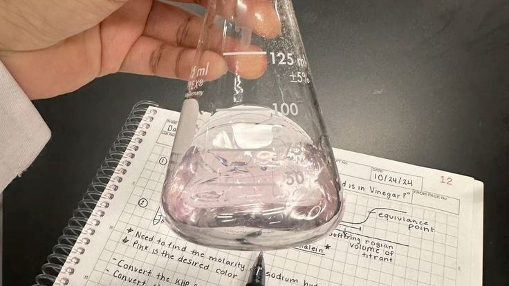 katie.𓇼 tweet media