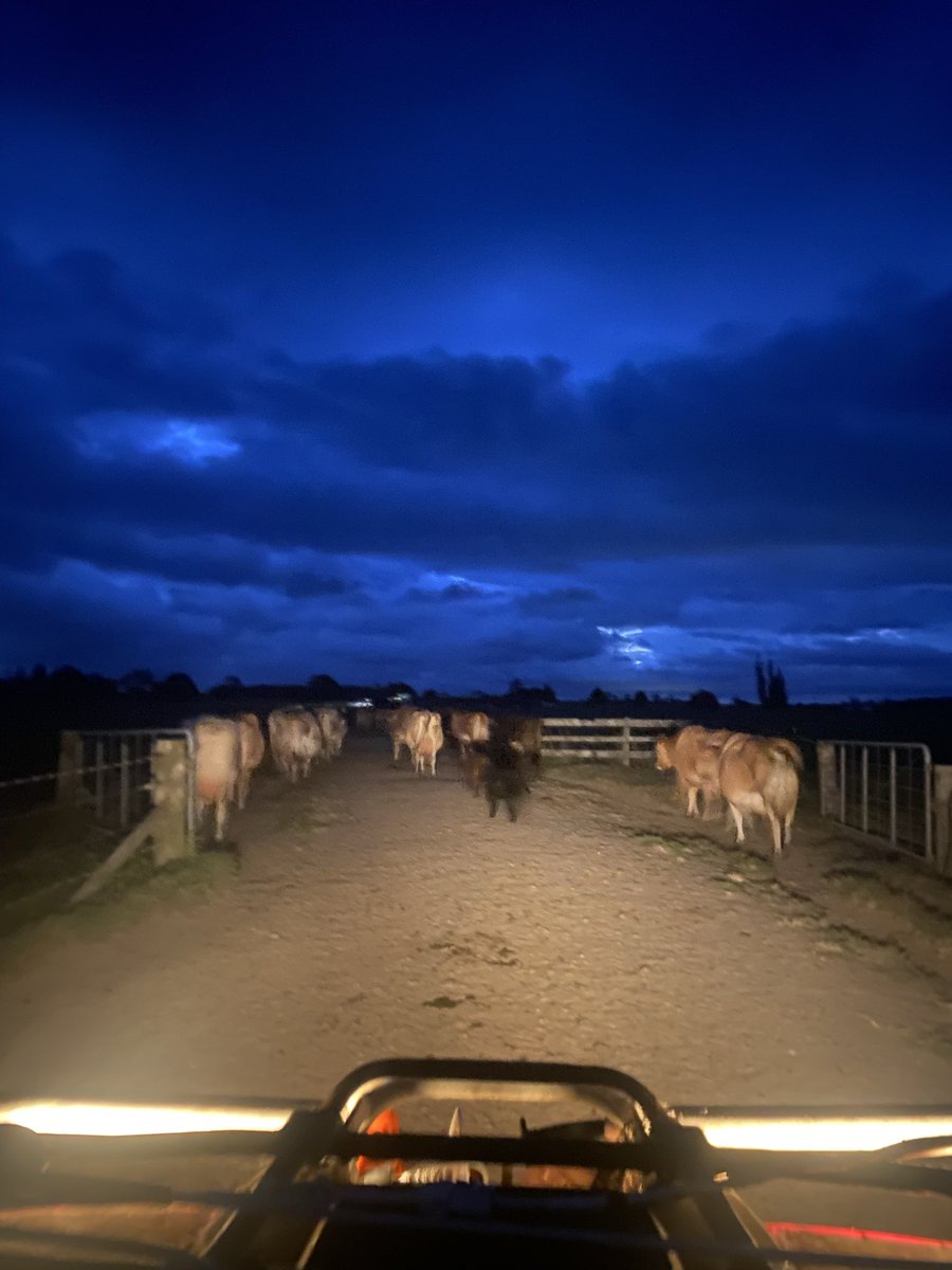 Top 50% farmer tweet media