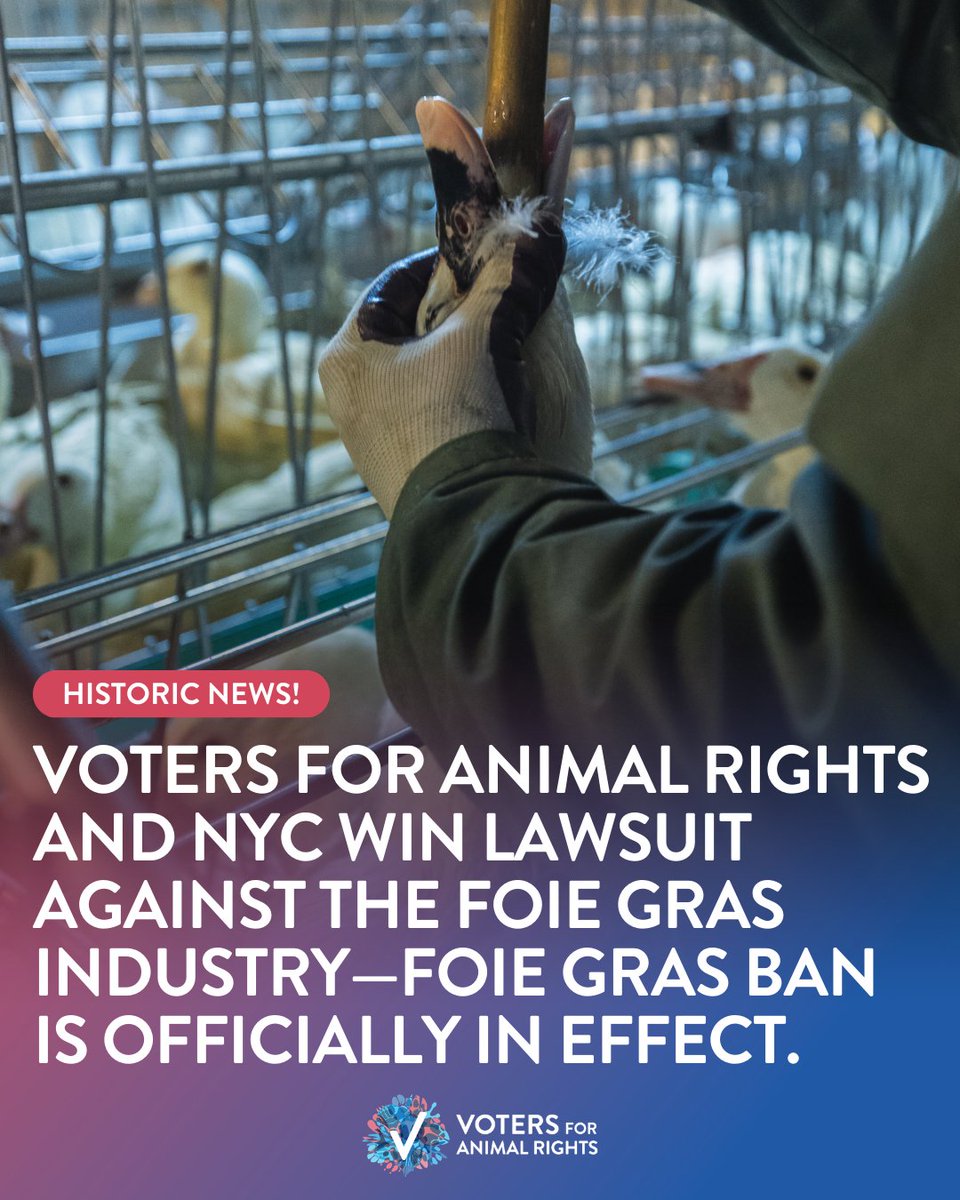 Voters For Animal Rights tweet media