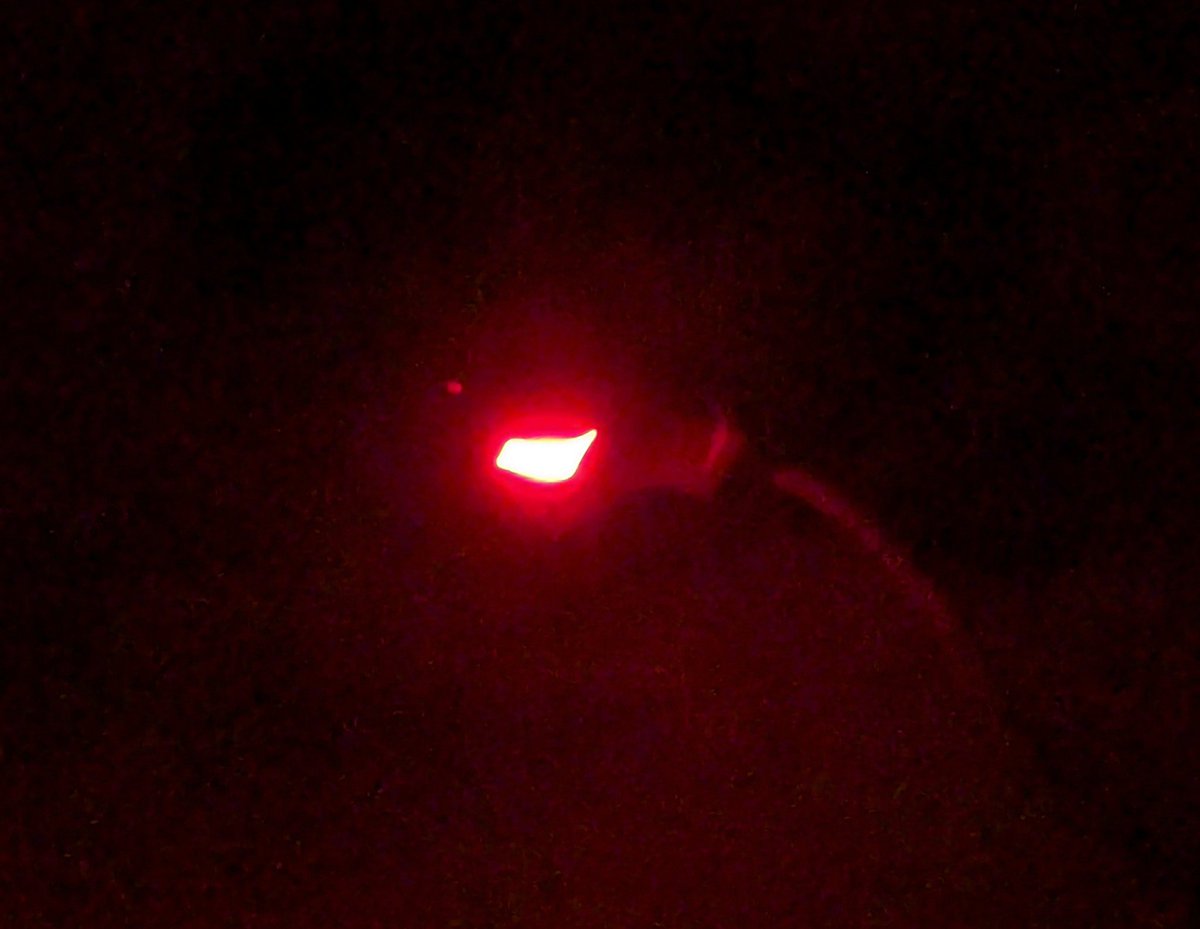 Valeriafcastrob's tweet photo. La situación con el servicio eléctrico en el estado Mérida es inaguantable. Tenemos cortes de horas, varias veces al día. Y fluctuaciones permanentes! 

Así se mantienen los protectores de voltaje... En rojo! 

@CorpoelecInfo  no resuelve nada! 

#sinluz https://t.co/OivEfDoQRR