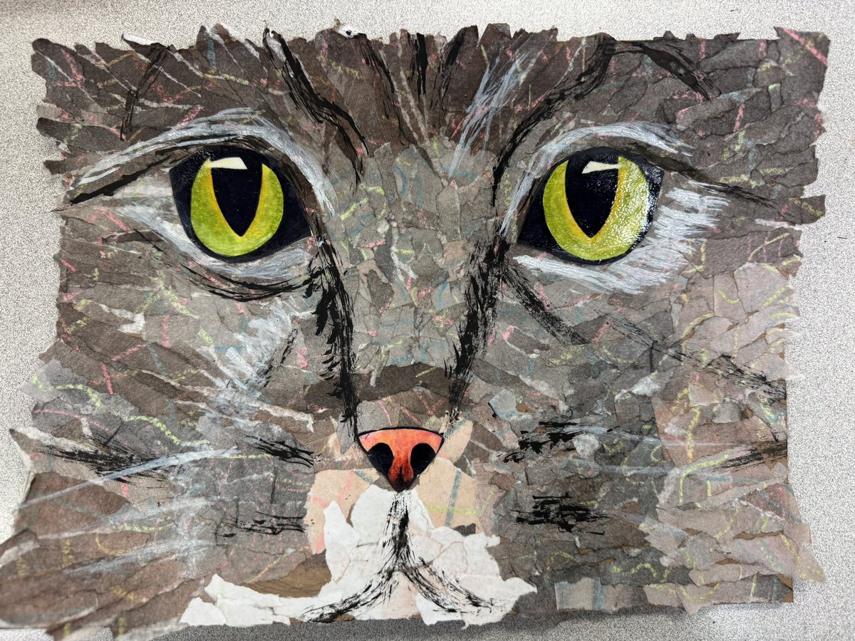 Kathy McMillan tweet media