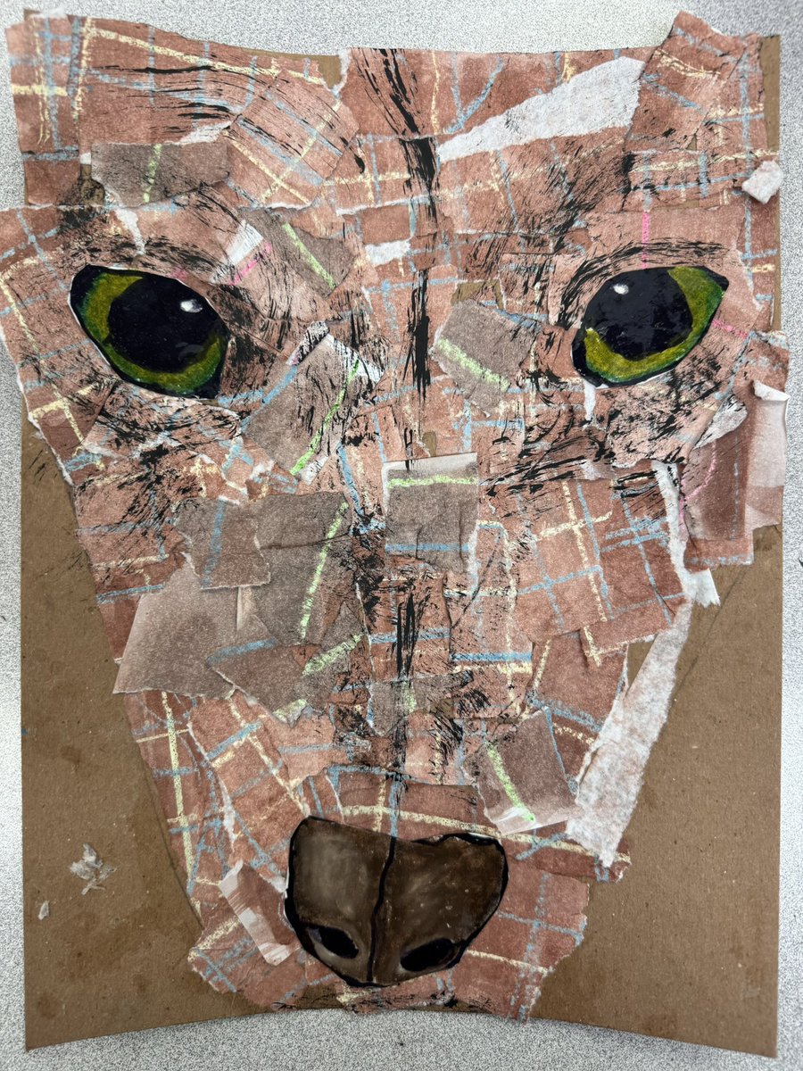 Kathy McMillan tweet media