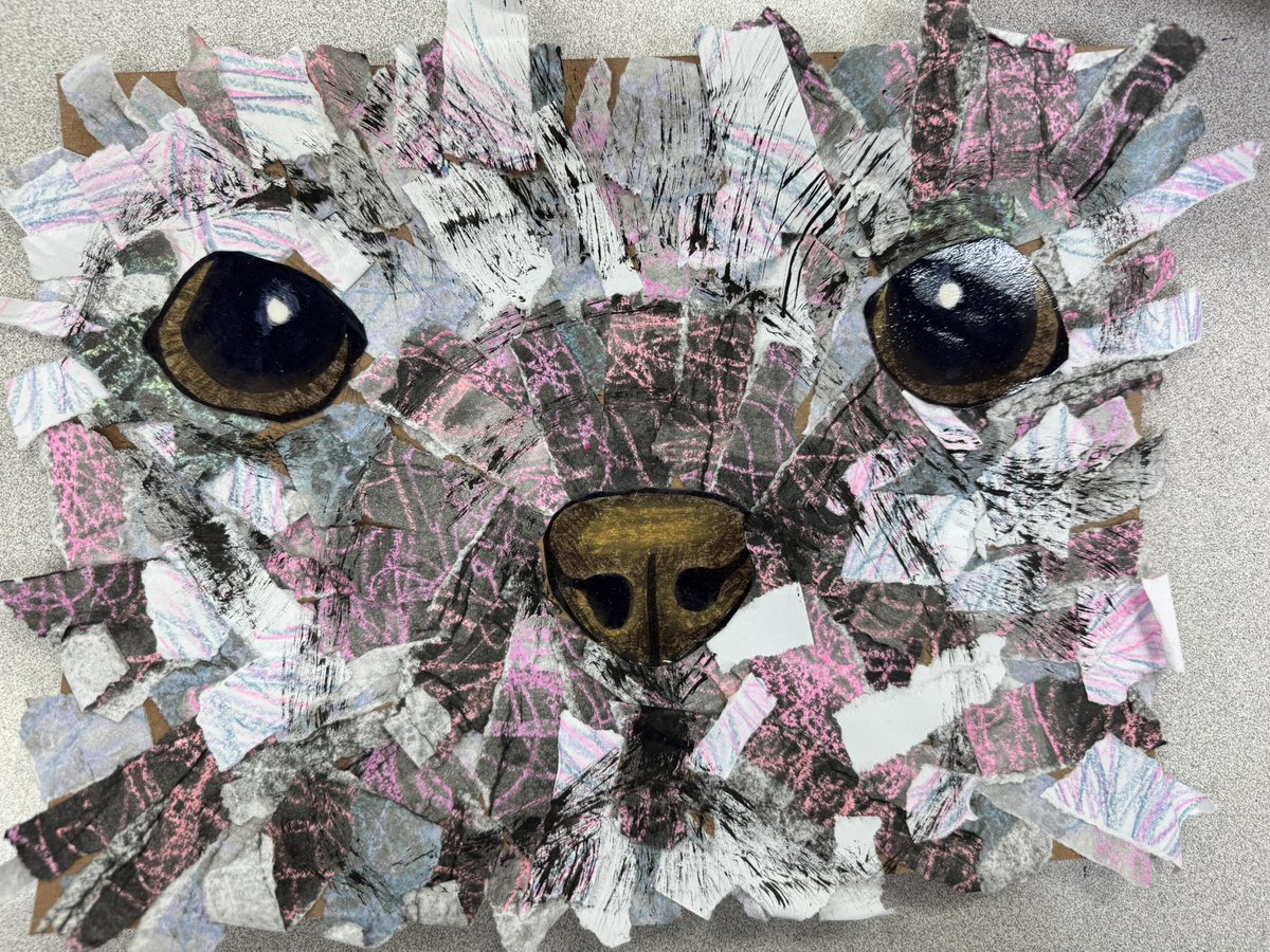 Kathy McMillan tweet media