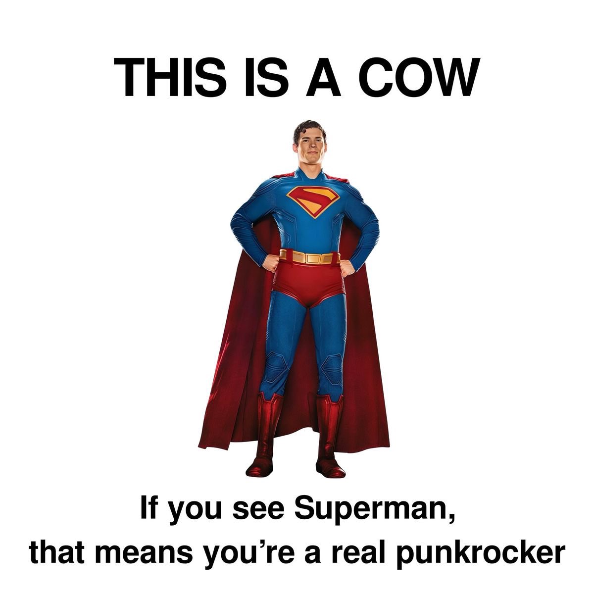 Superman Folder tweet media