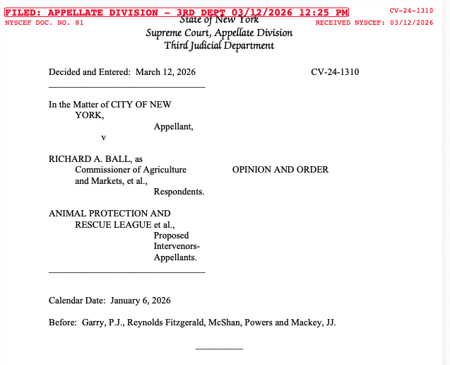 Jason Beeferman tweet media