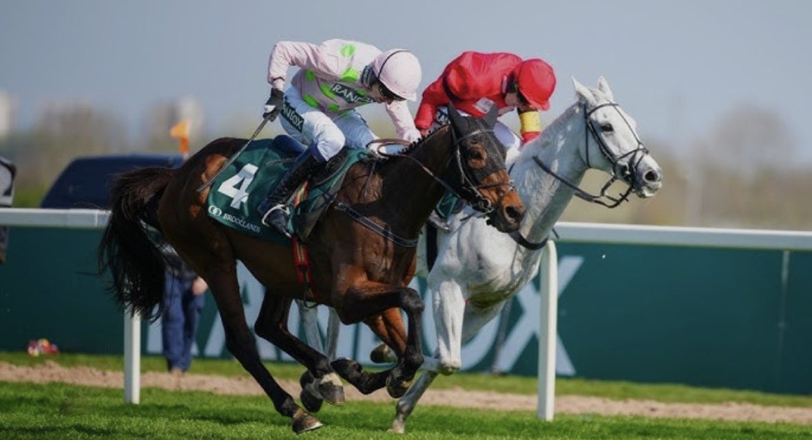 Owen🐎 tweet media