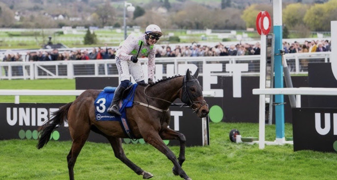 Owen🐎 tweet media