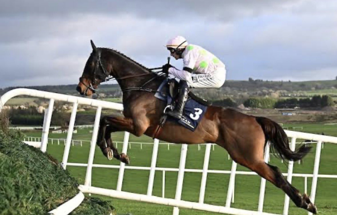 Owen🐎 tweet media