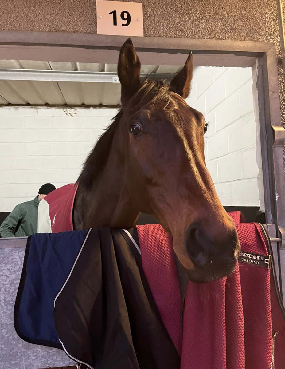 Owen🐎 tweet media