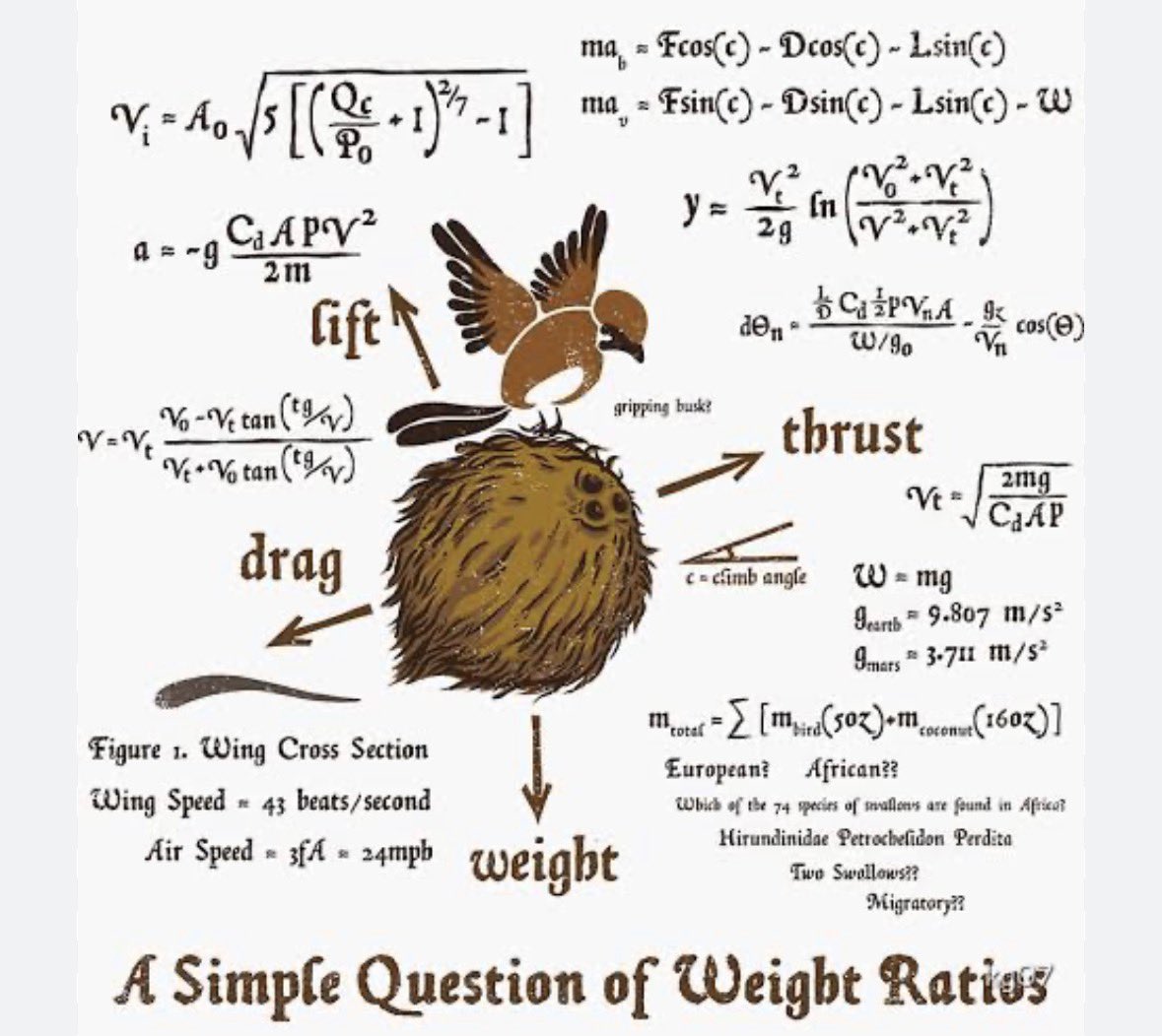 AngeB & Augie 🐶 tweet media