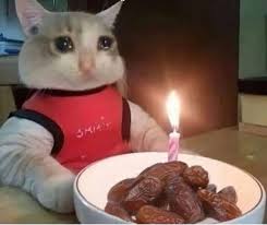 مهلاااا رمضااااان 

الله يجعلها سنه خير يارب 
اي احتفاليه مافيها سمبوسه مرفوضه يااخوان 😅