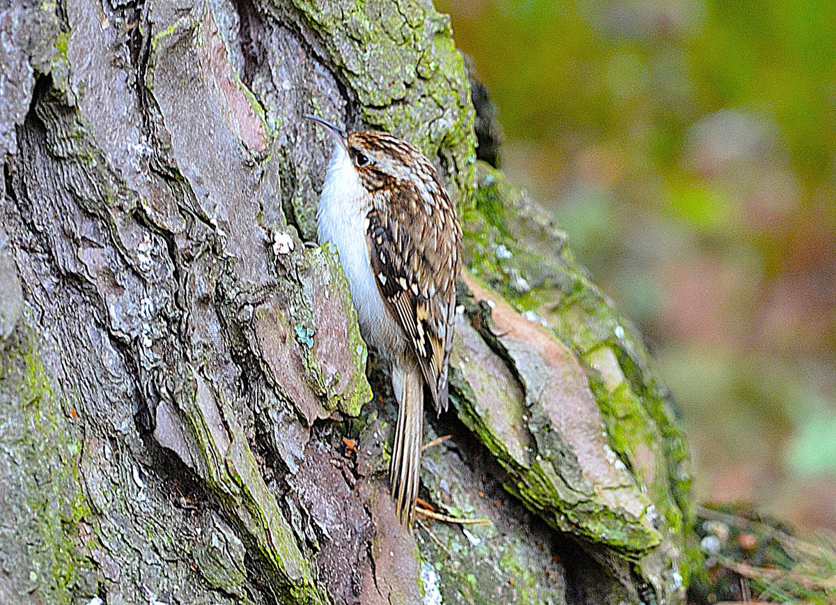 Keith Broomfield tweet media