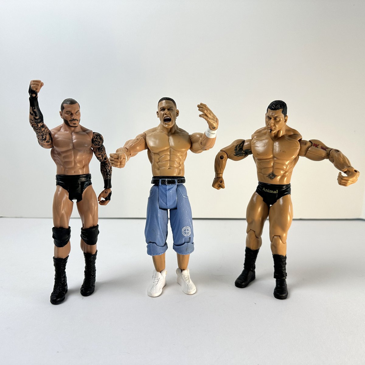 Potcake Rescue 🏝🐕 tweet media