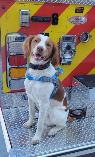 Cloverleaf Schools tweet media