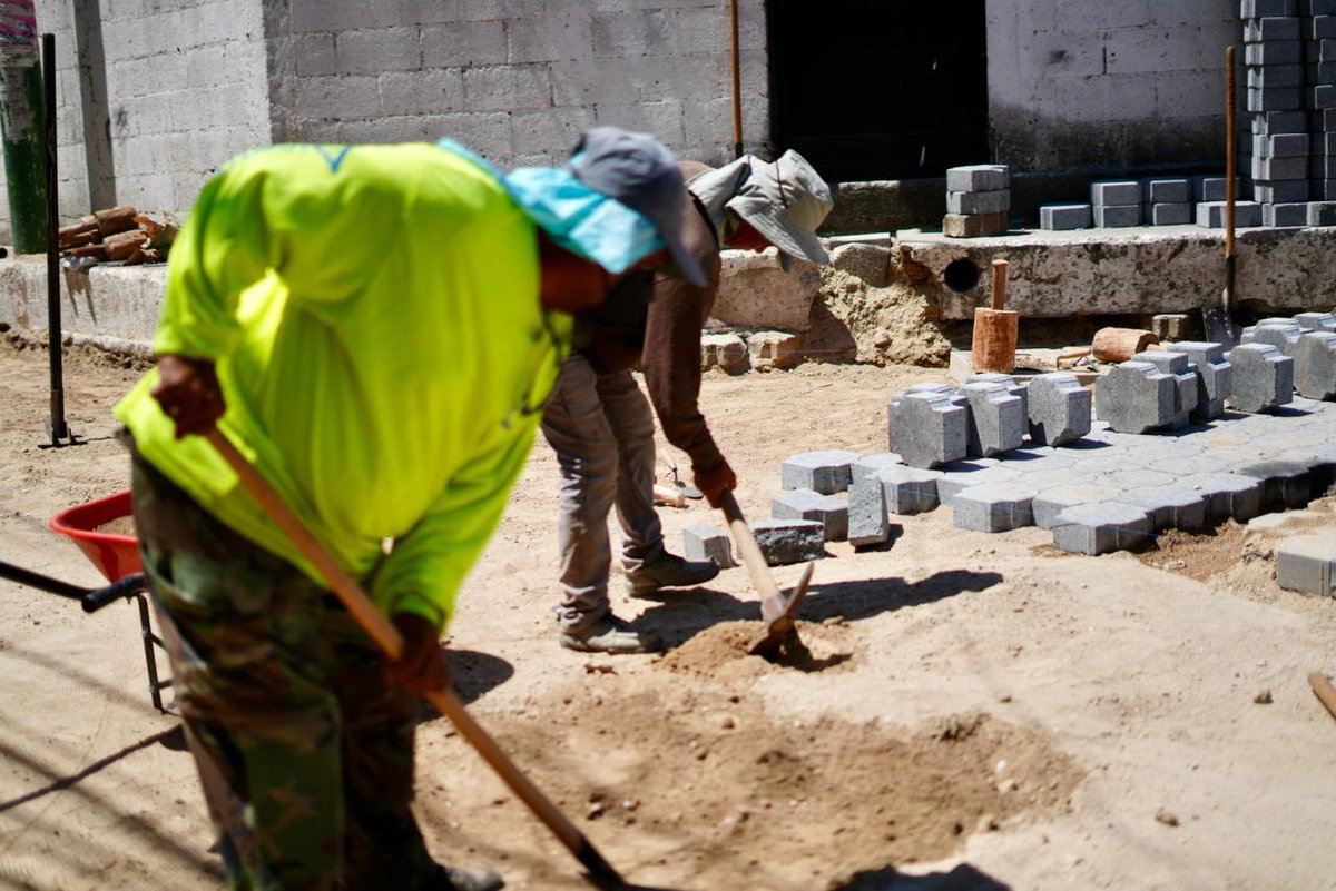 NetoBran tweet media