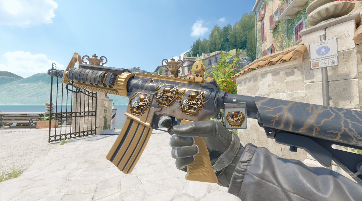 VITOWAVE2016 ♿ tweet media