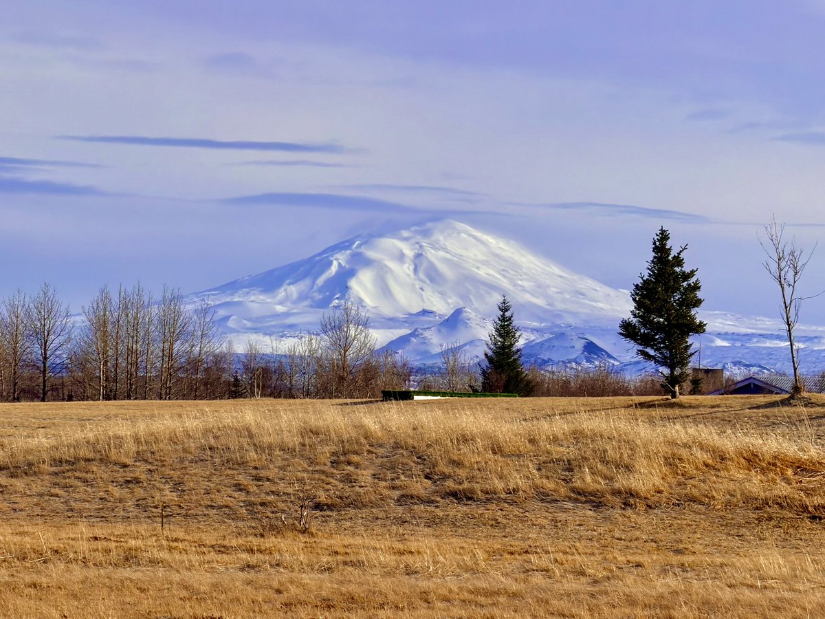 Dominic Manning tweet media