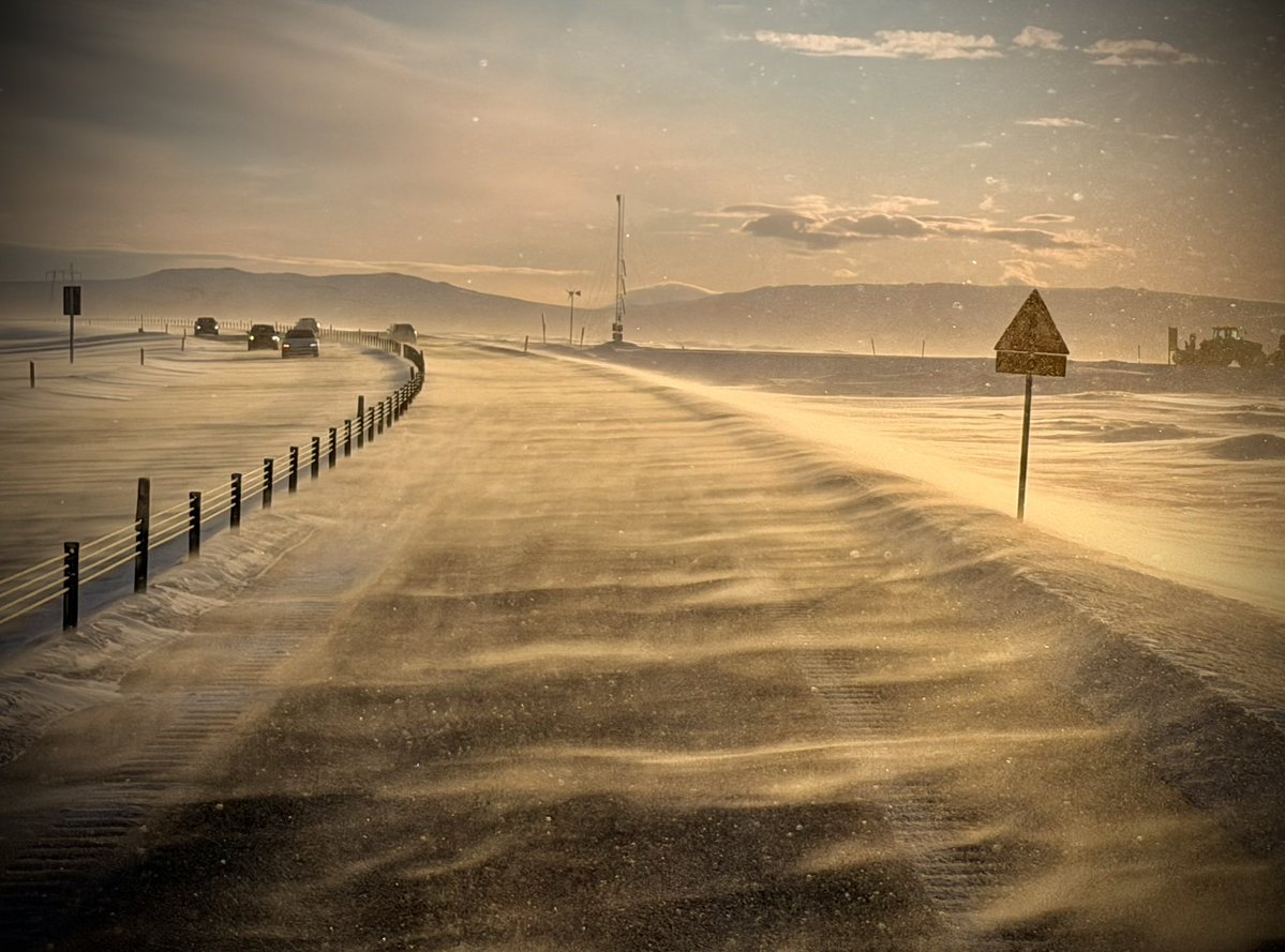 Dominic Manning tweet media