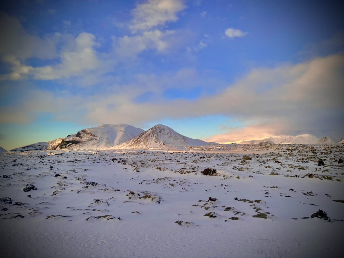 Dominic Manning tweet media