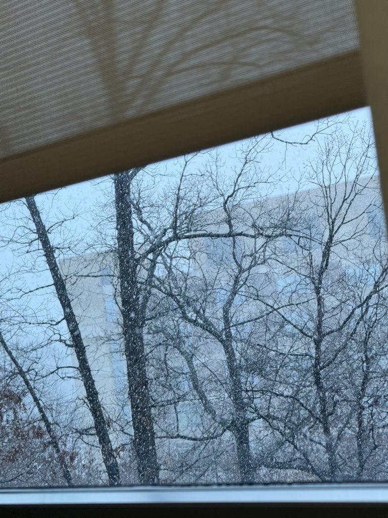 lexie 💋🪩 tweet media