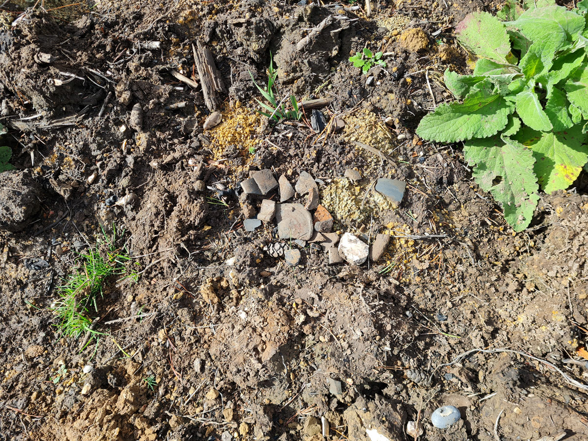 Cotswold Archaeology tweet media