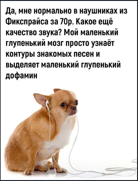 MCMLXXXIV™ tweet media