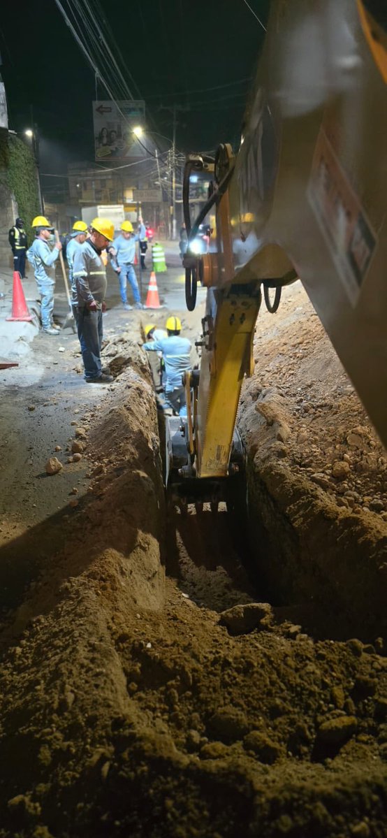 NetoBran tweet media