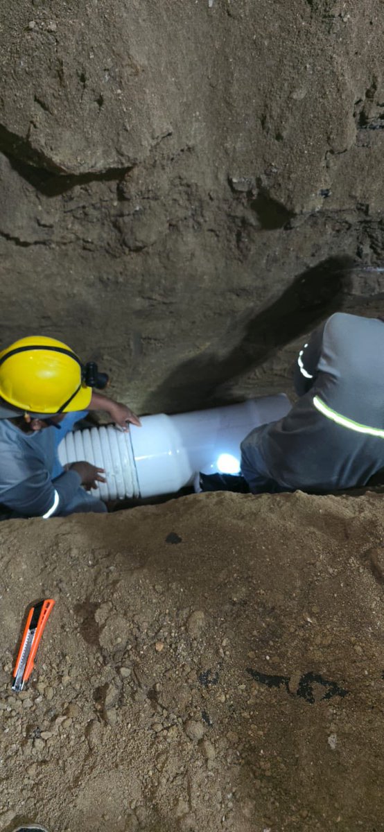 NetoBran tweet media